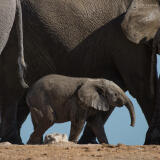 PCS: 2025 International Photo Journeys with Open Sky Expeditions 9