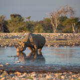 PCS: 2025 International Photo Journeys with Open Sky Expeditions 10
