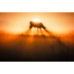 PCS: Impactful Post-processing Tricks with Chris Greer 7