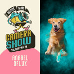 PCS: Disc Dogs in Action with Anabel Dflux (Sigma) 0