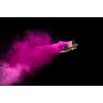 PCS: Disc Dogs in Action with Anabel Dflux (Sigma) 2