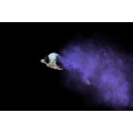 PCS: Disc Dogs in Action with Anabel Dflux (Sigma) 3