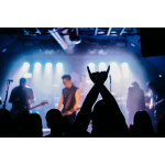 PCS: Business Side of Music Photography with Anabel DFlux (Sigma) 2