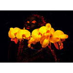 PCS: A Creative Career with Robert Carter 6