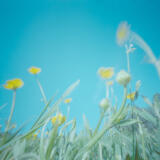 PCS: Unlocking Creativity with Pinhole Photography and Heather Palecek 1