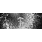 PCS: Unlocking Creativity with Pinhole Photography and Heather Palecek 6