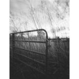 PCS: Unlocking Creativity with Pinhole Photography and Heather Palecek 7