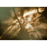 PCS: Unlocking Creativity with Pinhole Photography and Heather Palecek 8