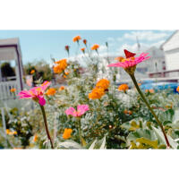 PCS: Artist Talk with Kyle Myles (Baltimore Photo Space) 4