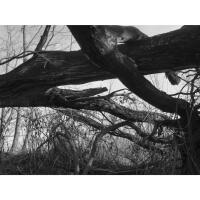 PCS: Artist Talk with Kyle Myles (Baltimore Photo Space) 7