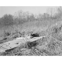 PCS: Artist Talk with Kyle Myles (Baltimore Photo Space) 8