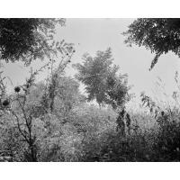 PCS: Artist Talk with Kyle Myles (Baltimore Photo Space) 9