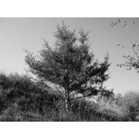 PCS: Artist Talk with Kyle Myles (Baltimore Photo Space) 10