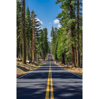PCS: Vanlife - Photos and Stories from the Road with Aaron Schantz 5