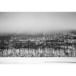 Film Lovers Event: Keynote and Book Signing with Michael Froio (Philly) 7