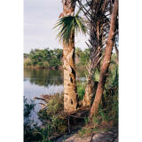 Film Lovers Event: Getting Started with Film in 2024 (Philly) 2