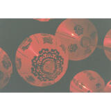 Film Lovers Event: Getting Started with Film in 2024 (Philly) 4