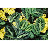 Film Lovers Event: Getting Started with Film in 2024 (Philly) 6