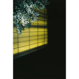 Film Lovers Event: Getting Started with Film in 2024 (Philly) 8