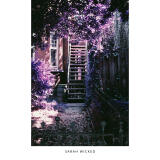 Film Lovers Event: Artist Talk and Discussion (Philly) 8