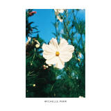 Film Lovers Event: Photowalk with Harman Photo (Philly) 5