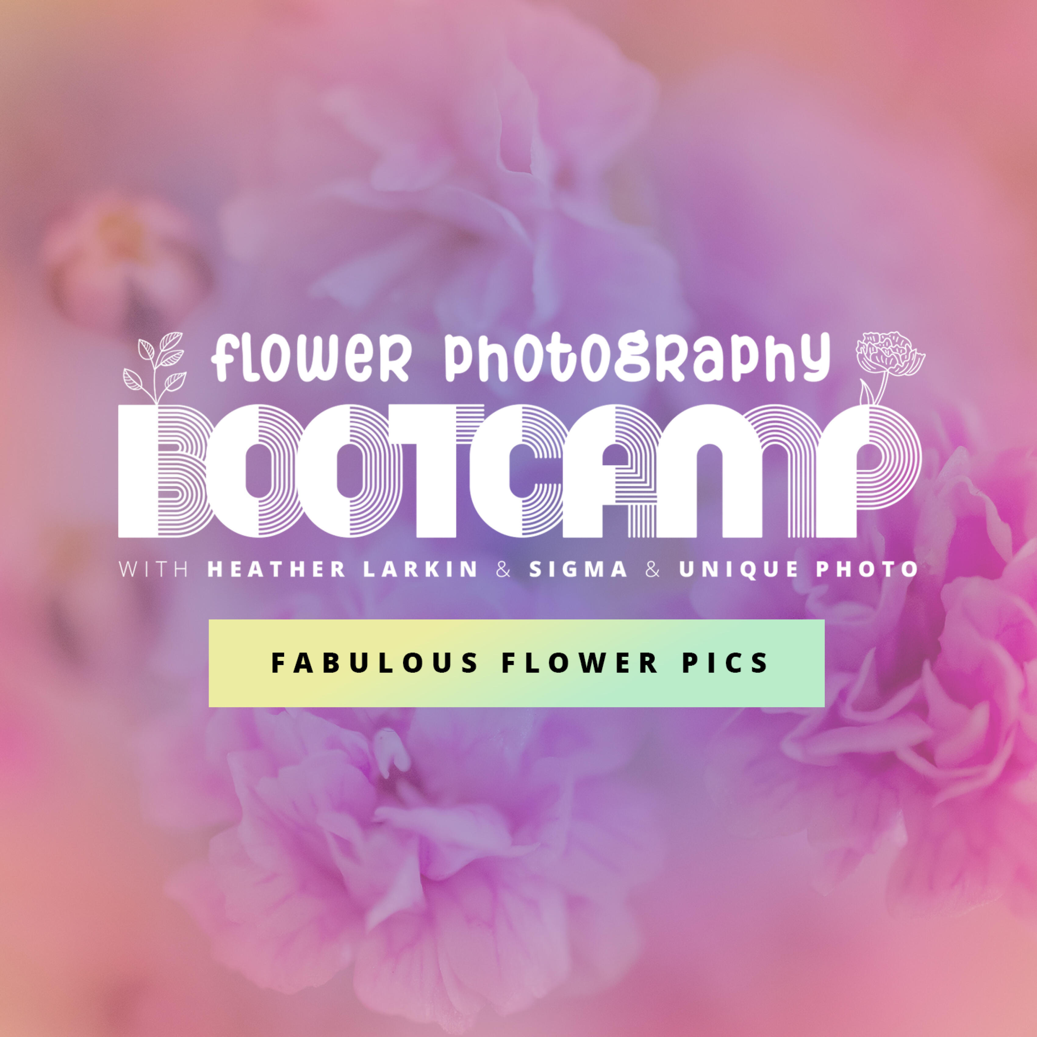 Flower Photography Bootcamp with Heather Larkin Sponsored By SIGMA