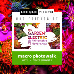 Philly Flower Show: Macro Photowalk with Michael Downey 0
