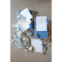 Posing and Lighting Bootcamp: Wedding Playbook Pt 1 w. Vanessa Joy (Philly) 2