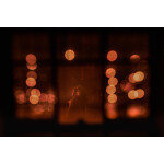 Wedding Photography Bootcamp: Growing Your Wedding Photography Business 3