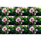 Lights, Camera, ALPHA: A Deep Dive into Camera Lenses (Sony) 3