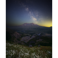 Sussex Sunflower Field Astrophotography Workshop with Jack Fusco (Sigma) 1