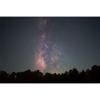 Sussex Sunflower Field Astrophotography Workshop with Jack Fusco (Sigma) 3
