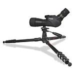 Vanguard VEO 235AP Aluminum Tripod with PH-25 2-Way Pan/Tilt Head 6