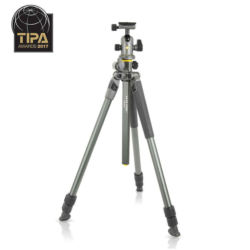 Alta Pro 2+ 263AB 100 With BH100 Ball head