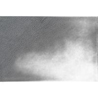 Westcott 9 x 20 Feet Neutral Gray, Wrinkle-Resistant Backdrop 1
