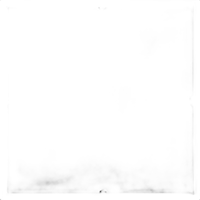 Westcott 6ft x 6ft Scrim Jim Cine Solid Black Block Fabric 0