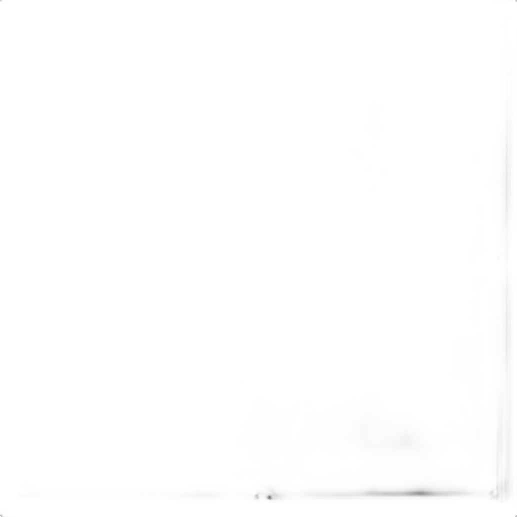 Westcott 8ft x 8ft Scrim Jim Cine Double Net Fabric