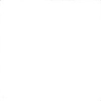 Westcott 4ft x 6ft Scrim Jim Cine Solid Black Block Fabric 1