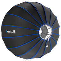 Westcott Switch Beauty Dish by Joel Grimes (24in, Silver Interior) 0