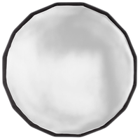Westcott Beauty Dish Switch 36in by Manny Ortiz - White Interior 1