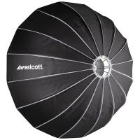 Westcott Beauty Dish Switch 36in by Manny Ortiz - Silver Interior 2