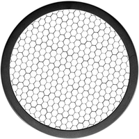 Westcott 30-Degree Grid for FJ400 f/5.5in Magnetic Reflector 1