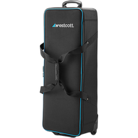 Westcott Flex Cine Peter Hurley Daylight Travel Kit 10
