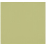 Westcott X-Drop Pro Wrinkle-Resistant Backdrop - Light Moss Green (8ft x 8ft 0