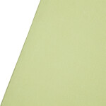 Westcott X-Drop Pro Wrinkle-Resistant Backdrop - Light Moss Green (8ft x 8ft 1
