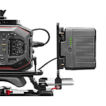 Shape Gold Mount Lock Plate 2