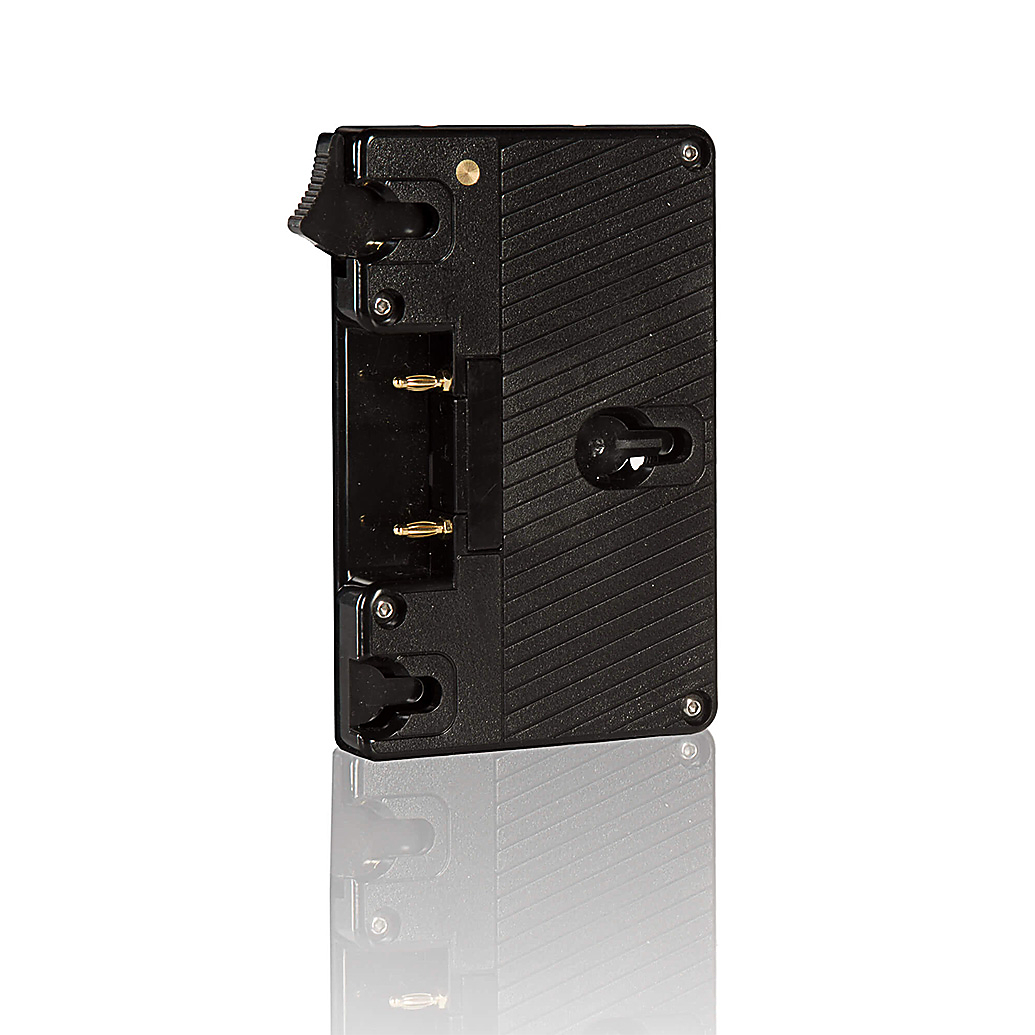 Shape Gold Mount Lock Plate