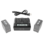 Shape NP-F Dual LCD Charger 3