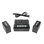 Shape NP-F980 Lithium-ion Two Batteries with NP-F Dual LCD Charger 1