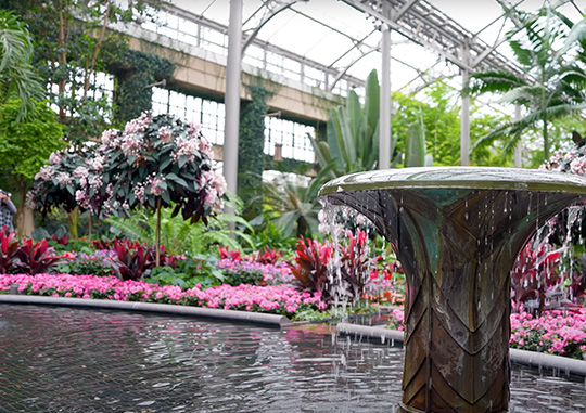 A fountain set in the middle of a Botanical greenhouse